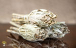 White Sage torch Bundle