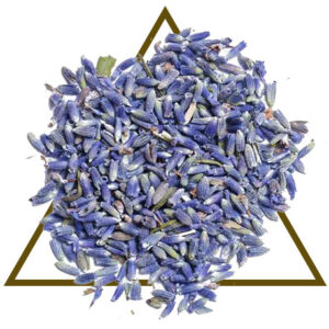 Lavender Extract By House of Serenity Health and Wellness