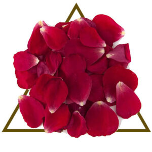 Rose Petals House of Serenity Health and Wellness
