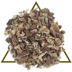 Burdock Root by House of Serenity Health and Wellness