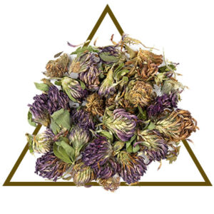 Red Clover Blossoms by House of Serenity Health and Wellness