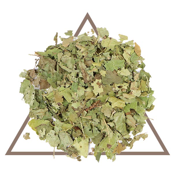 Organic Witch Hazel by House of Serenity Health and Wellness