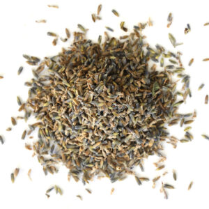 Organic Lavender